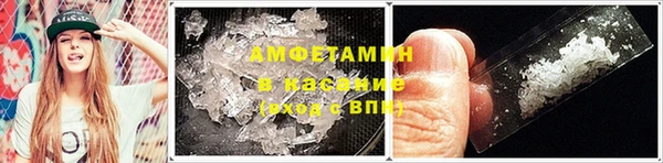 молекула духа Дмитровск