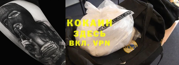 индика Абинск