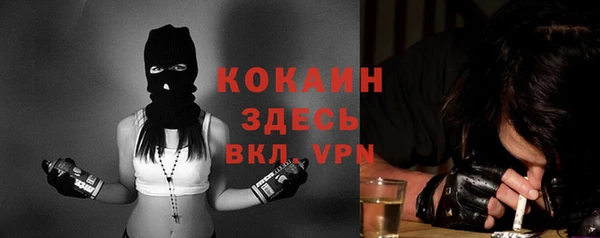 индика Абинск