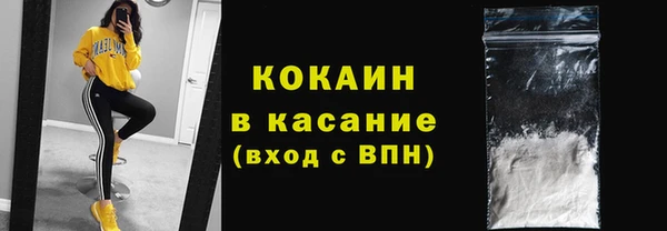 индика Абинск