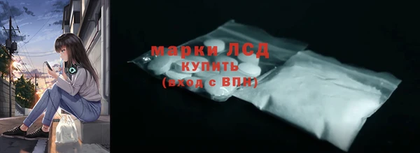 прущие грибы Вяземский