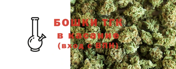мет Ельня