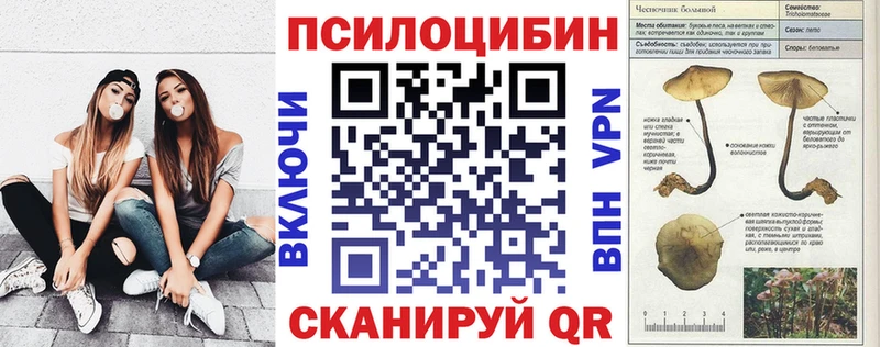 где найти наркотики  Кострома  Галлюциногенные грибы Psilocybe 
